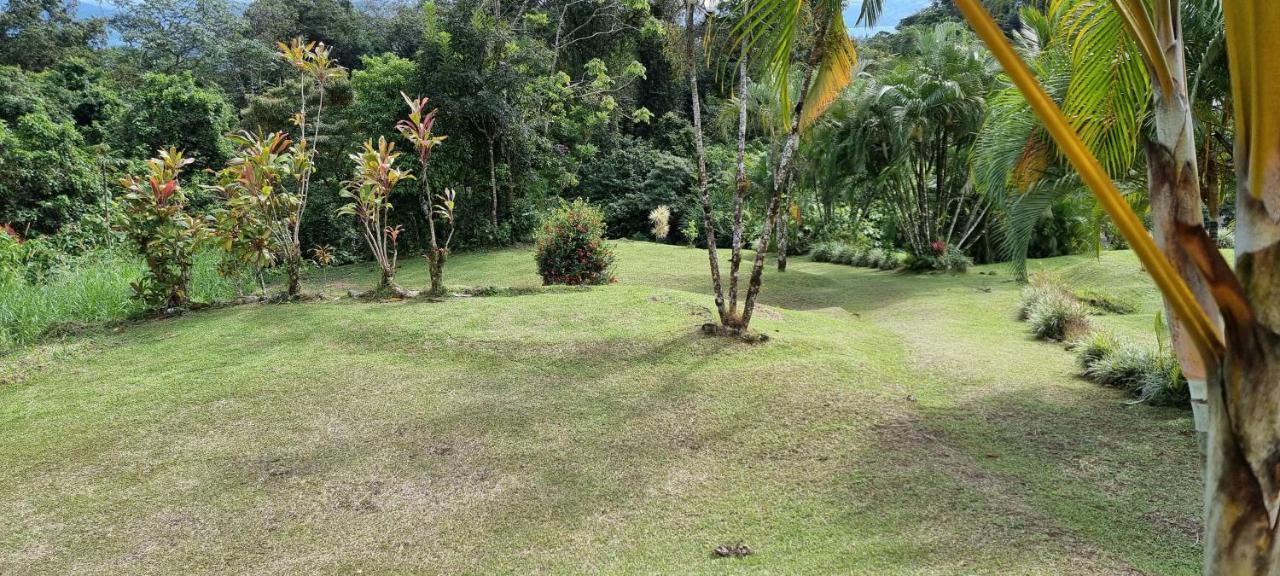 Hotel La Rana De Arenal Nuevo Arenal