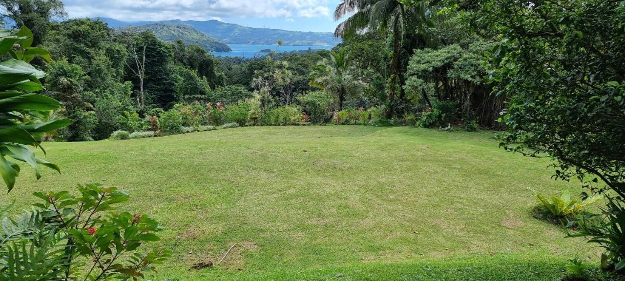 La Rana De Arenal Nuevo Arenal