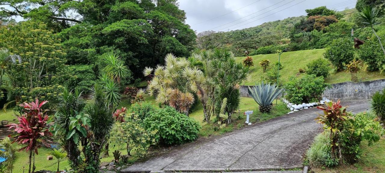La Rana De Arenal
