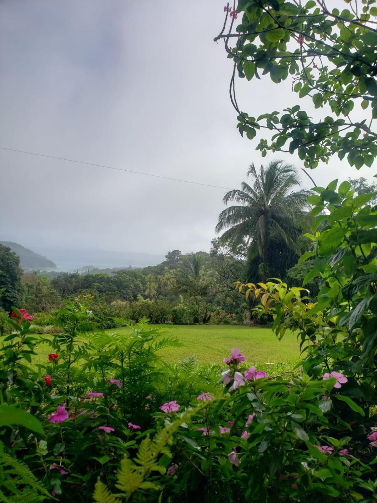 La Rana De Arenal Hotel *