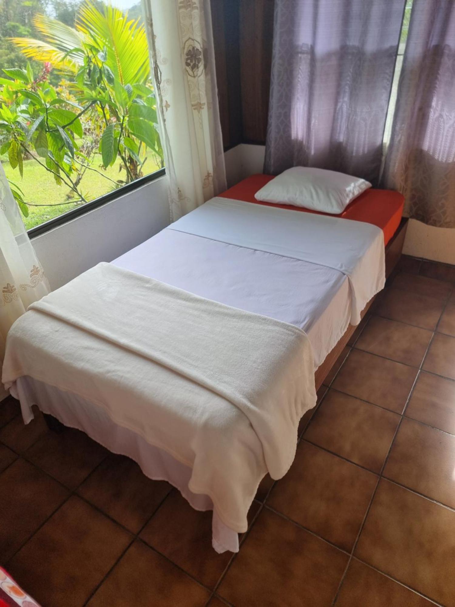 La Rana De Arenal Hotel Nuevo Arenal