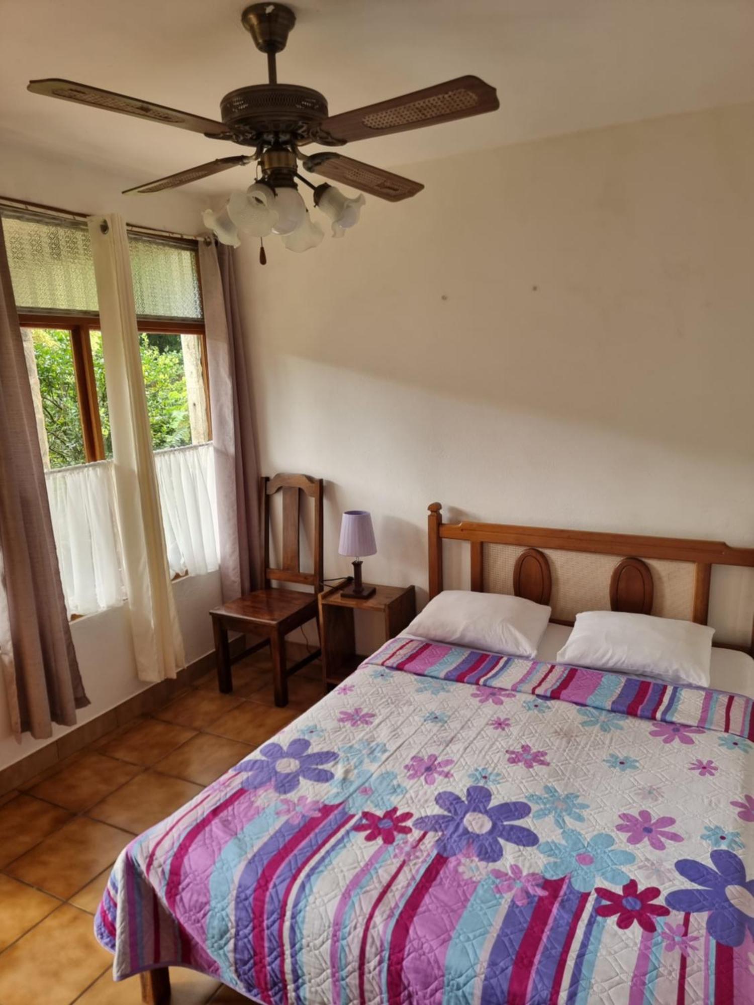 Hotel La Rana De Arenal *