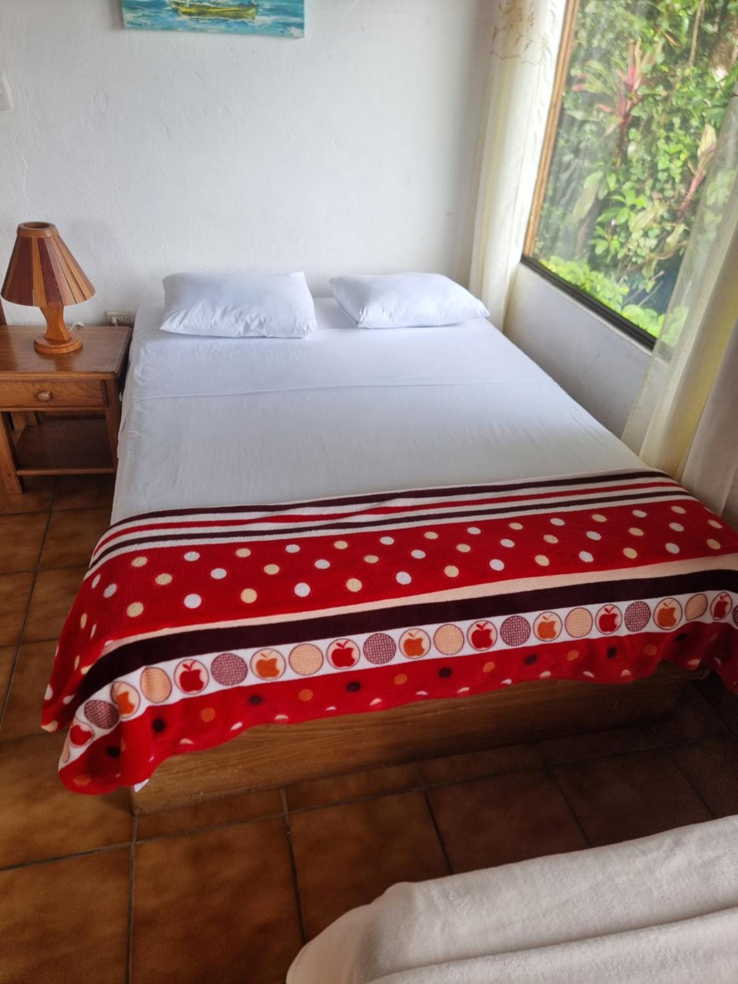 La Rana De Arenal Hotel Nuevo Arenal