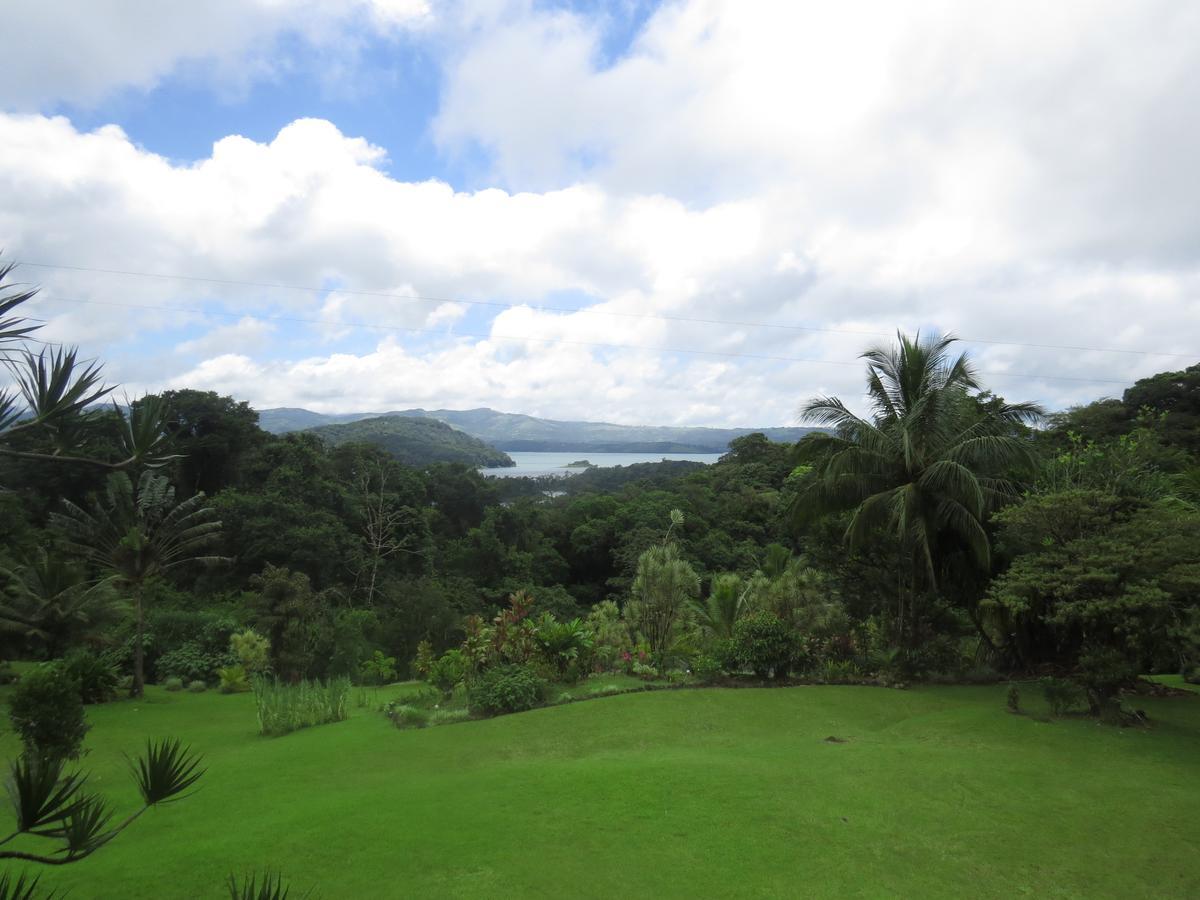 La Rana De Arenal Hotel Nuevo Arenal