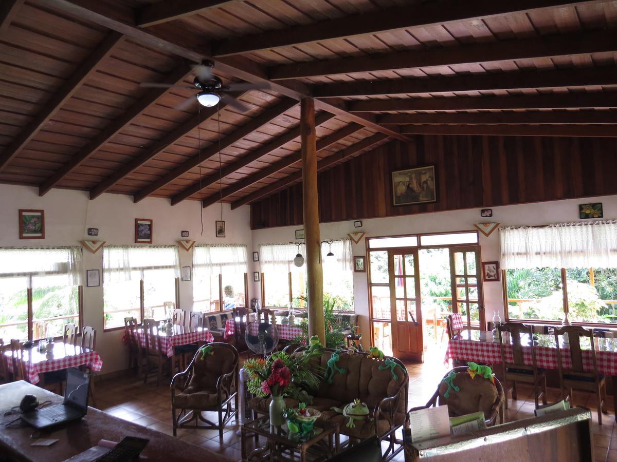 La Rana De Arenal Nuevo Arenal